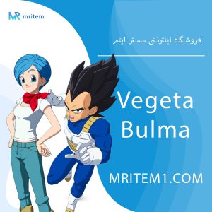 باندل وگتا و بولما فورتنایت - Vegeta & Bulma